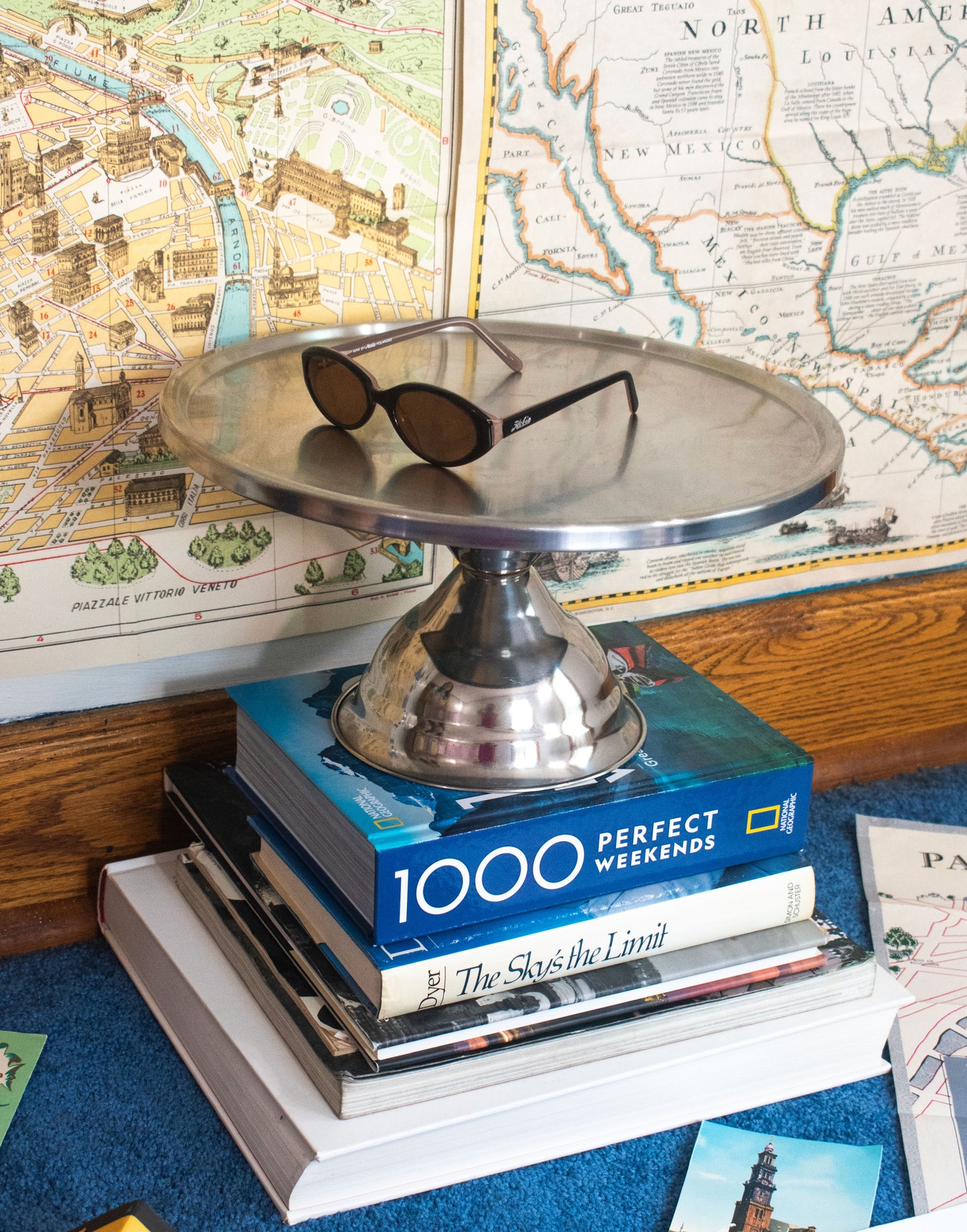 Vintage Hobie Sunglasses